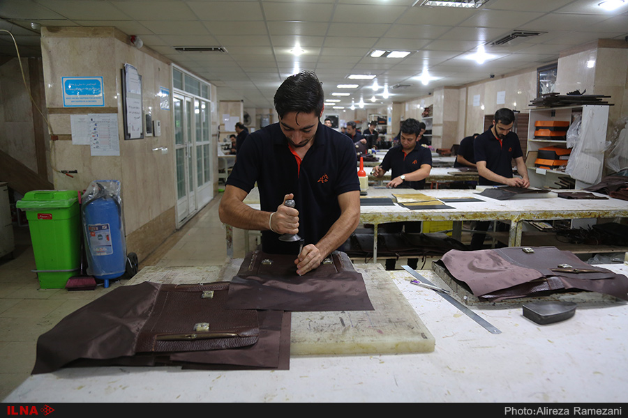 کارآفرین موفق ایرانی؛ عشق به کار، من را ماندگار کرد