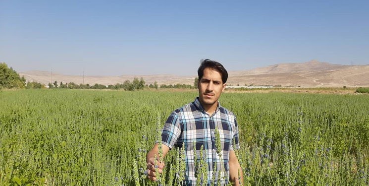 توکل، توسل و تلاش سه رمز موفقیت جوان کارآفرین فیروزآبادی